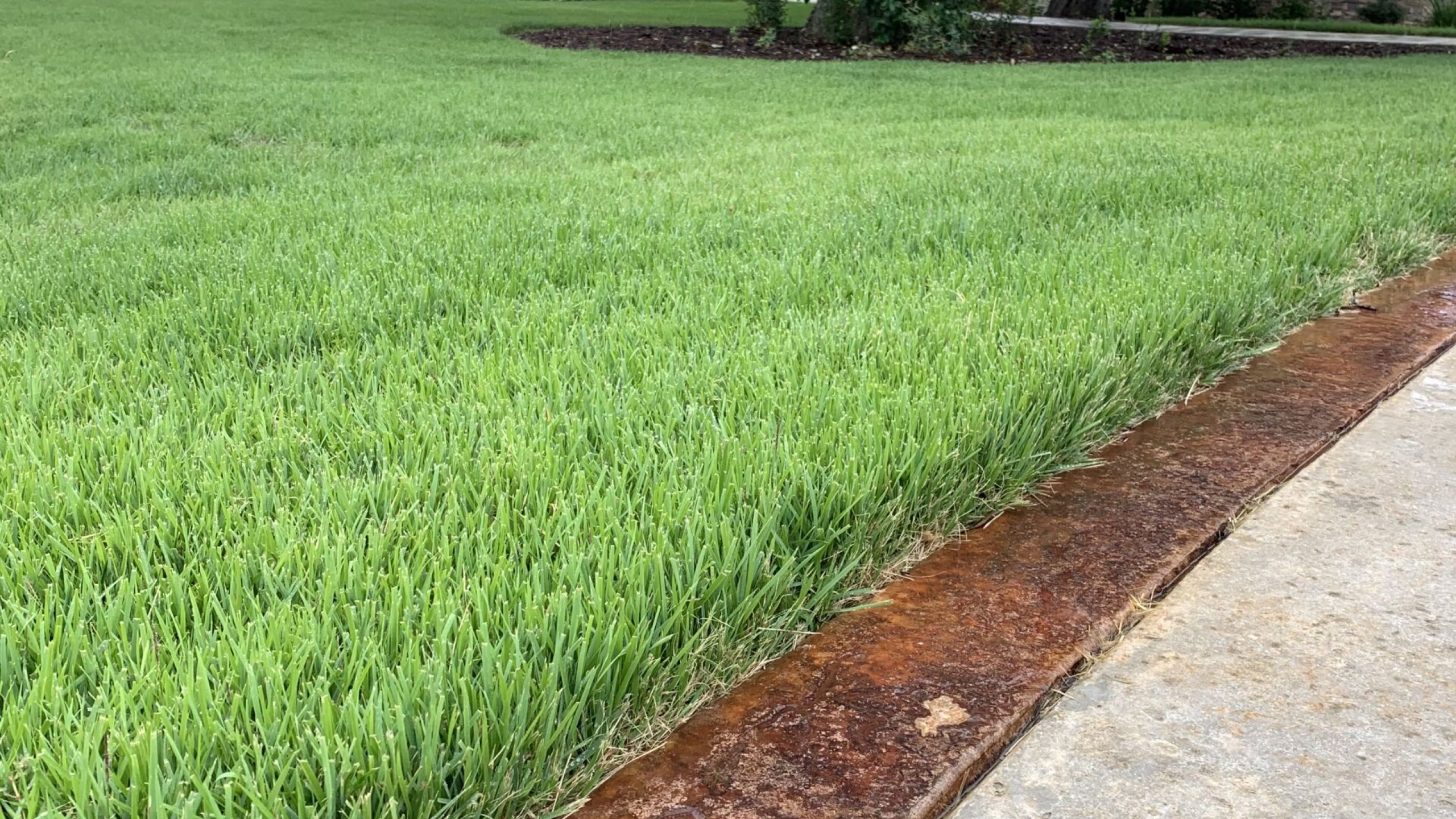 Outdoor Living Spaces Residential Landscaping for your Family